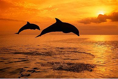 《LEGO建造者之旅》已登陆Steam、Epic和NS平台 